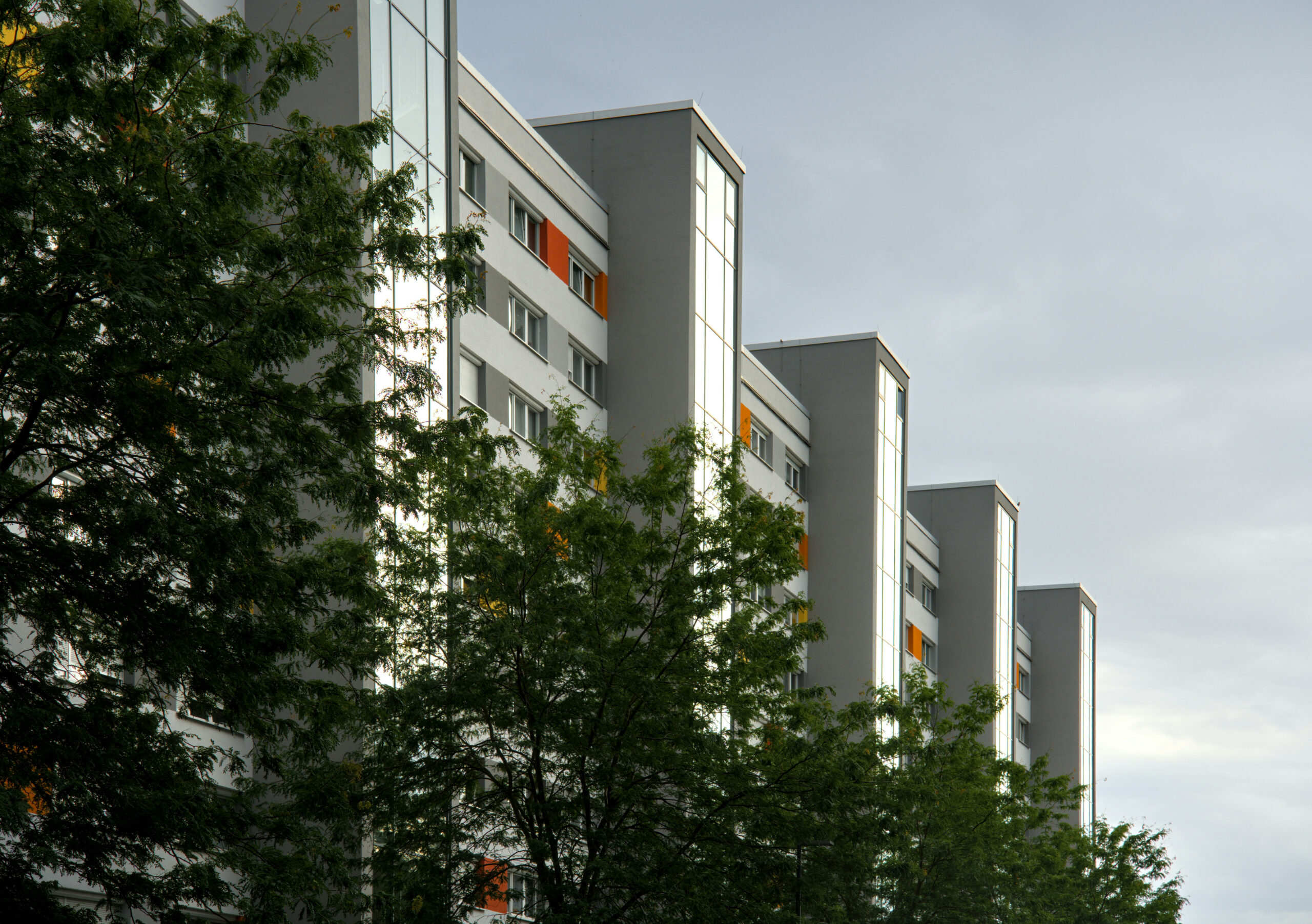 Hello World Featured Image